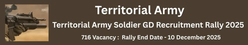 Territorial Army Soldier